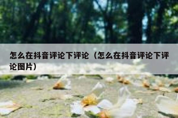 怎么在抖音评论下评论（怎么在抖音评论下评论图片） 第1张
