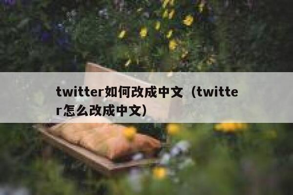 twitter如何改成中文（twitter怎么改成中文） 第1张