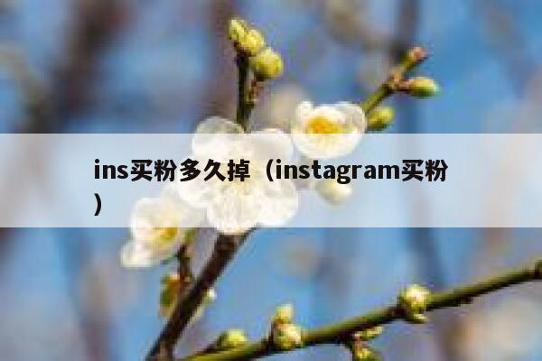 ins买粉多久掉（instagram买粉） 第1张