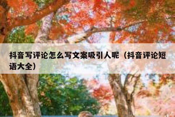 抖音写评论怎么写文案吸引人呢（抖音评论短语大全） 第1张