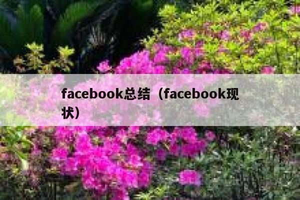 facebook总结（facebook现状） 第1张
