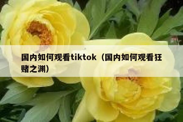 国内如何观看tiktok（国内如何观看狂赌之渊） 第1张