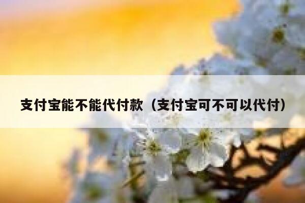 支付宝能不能代付款（支付宝可不可以代付） 第1张