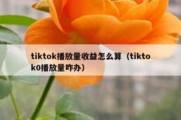 tiktok播放量收益怎么算（tiktok0播放量咋办） 第1张