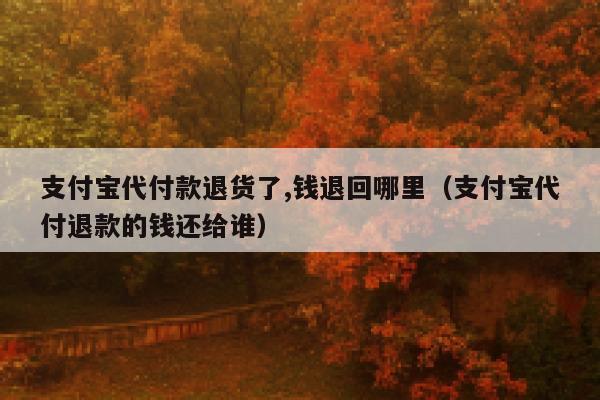 支付宝代付款退货了,钱退回哪里（支付宝代付退款的钱还给谁） 第1张