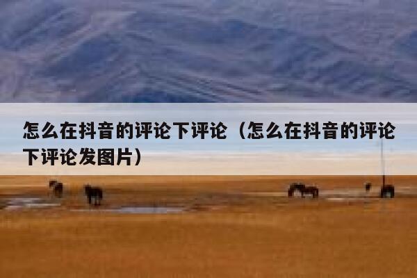 怎么在抖音的评论下评论（怎么在抖音的评论下评论发图片） 第1张