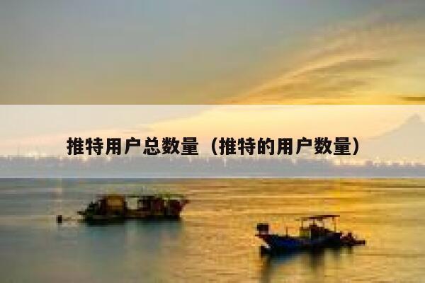 推特用户总数量（推特的用户数量） 第1张