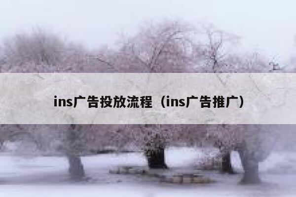 ins广告投放流程（ins广告推广） 第1张