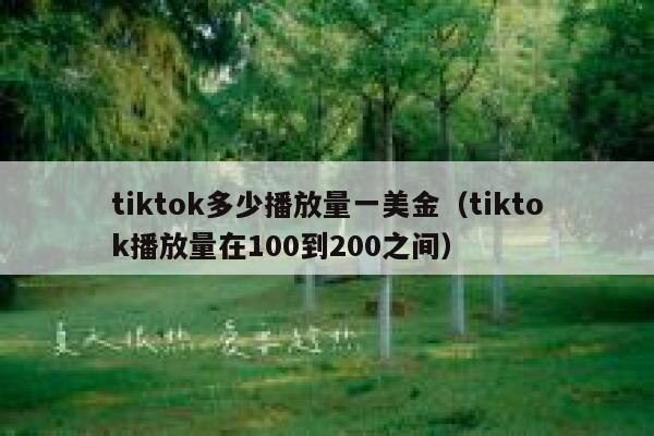 tiktok多少播放量一美金(tiktok播放量在100到200之间) 第1张 tiktok多少播放量一美金(tiktok播放量在100到200之间) 第1张