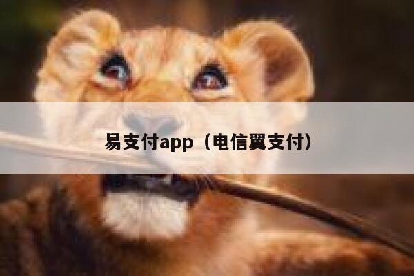 易支付app（电信翼支付） 第1张