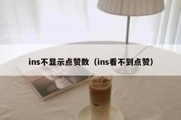 ins不显示点赞数（ins看不到点赞） 第1张