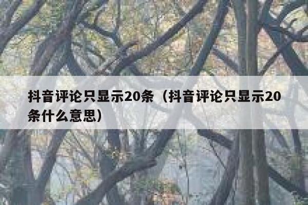 抖音评论只显示20条（抖音评论只显示20条什么意思） 第1张