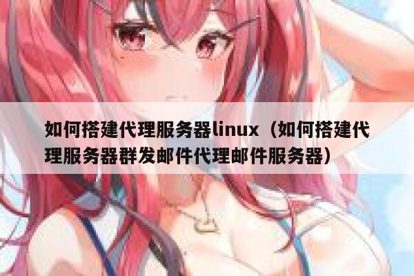 如何搭建代理服务器linux（如何搭建代理服务器群发邮件代理邮件服务器） 第1张