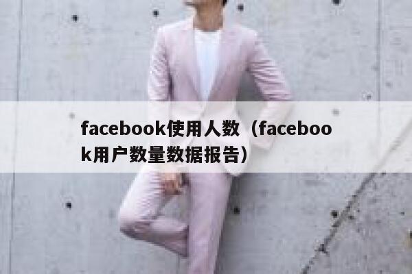 facebook使用人数（facebook用户数量数据报告） 第1张