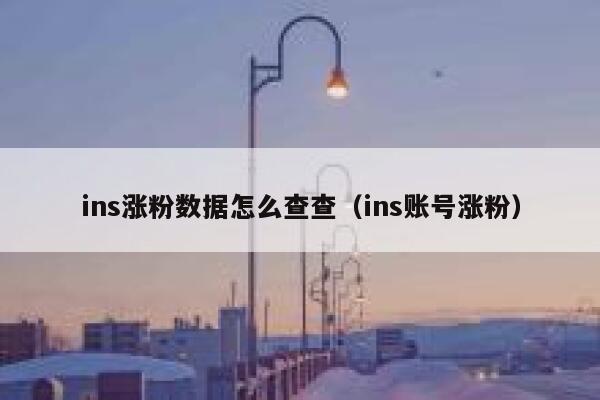 ins涨粉数据怎么查查（ins账号涨粉） 第1张