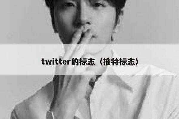 twitter的标志(推特标志) 第1张 twitter的标志(推特标志) 第1张