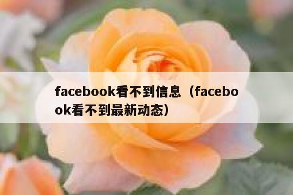 facebook看不到信息（facebook看不到最新动态） 第1张