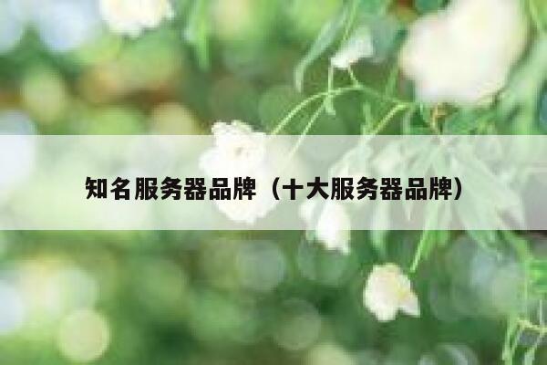 知名服务器品牌（十大服务器品牌） 第1张