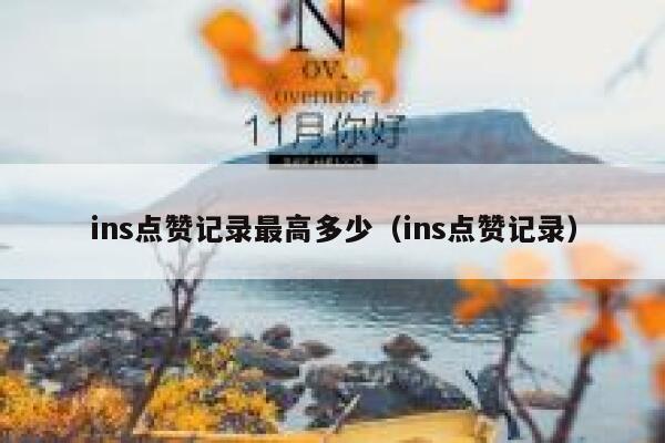 ins点赞记录最高多少（ins点赞记录） 第1张