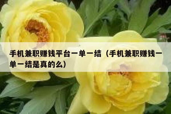 手机兼职赚钱平台一单一结（手机兼职赚钱一单一结是真的么） 第1张
