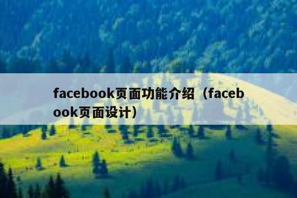 facebook页面功能介绍（facebook页面设计） 第1张
