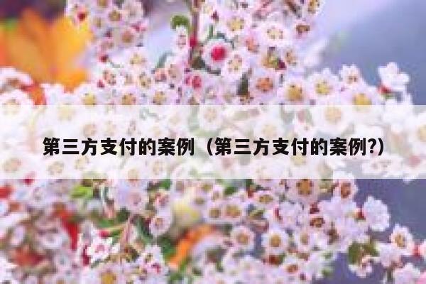 第三方支付的案例（第三方支付的案例?） 第1张