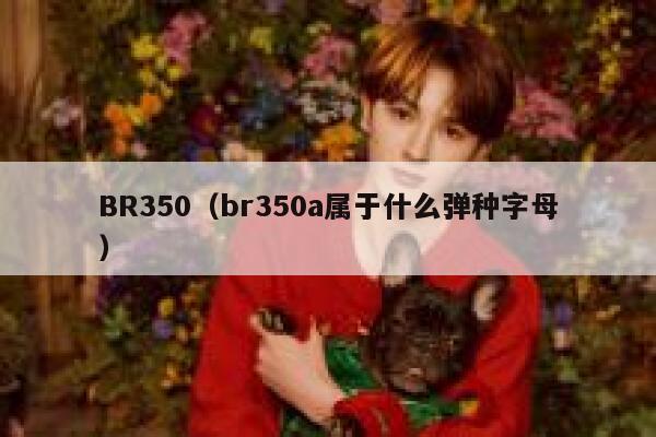 BR350（br350a属于什么弹种字母） 第1张