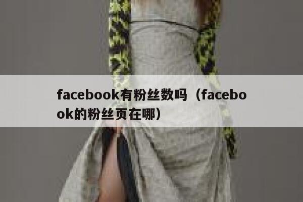 facebook有粉丝数吗（facebook的粉丝页在哪） 第1张