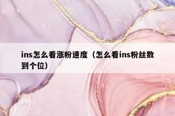ins怎么看涨粉速度（怎么看ins粉丝数到个位） 第1张