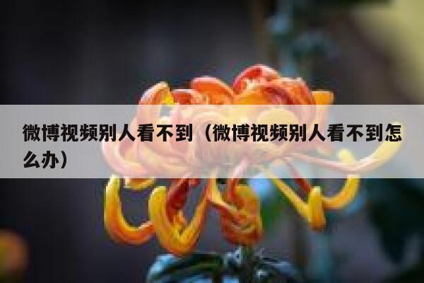 微博视频别人看不到（微博视频别人看不到怎么办） 第1张