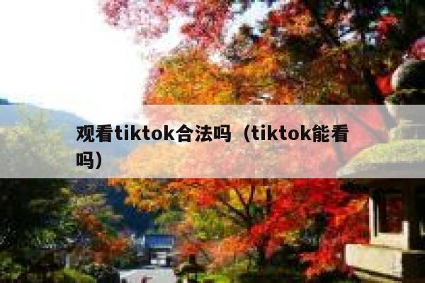 观看tiktok合法吗（tiktok能看吗） 第1张