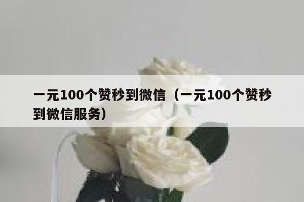 一元100个赞秒到微信（一元100个赞秒到微信服务） 第1张