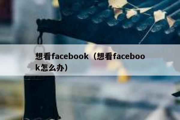 想看facebook（想看facebook怎么办） 第1张