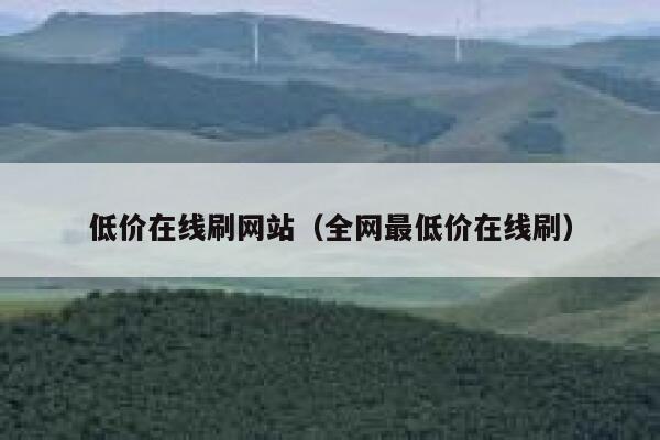 低价在线刷网站（全网最低价在线刷） 第1张