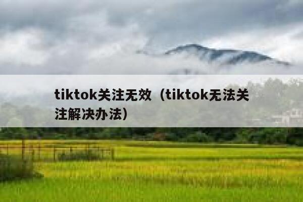 tiktok关注无效（tiktok无法关注解决办法） 第1张