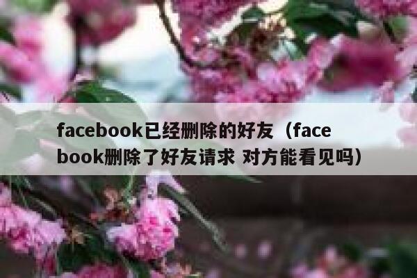 facebook已经删除的好友（facebook删除了好友请求 对方能看见吗） 第1张