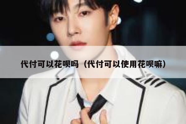 代付可以花呗吗（代付可以使用花呗嘛） 第1张