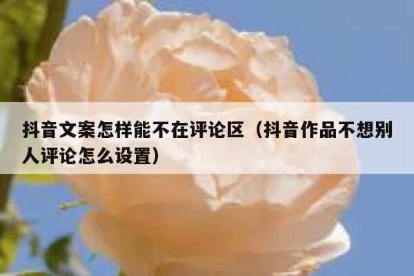 抖音文案怎样能不在评论区（抖音作品不想别人评论怎么设置） 第1张