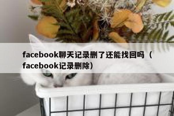 facebook聊天记录删了还能找回吗（facebook记录删除） 第1张