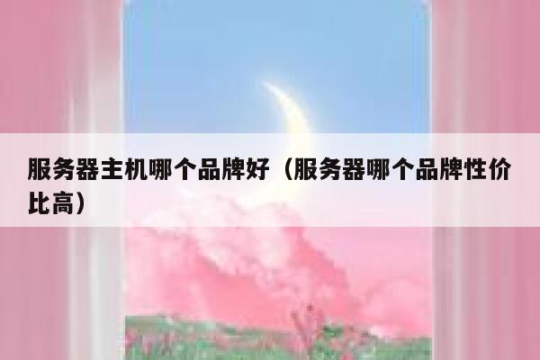 服务器主机哪个品牌好(服务器哪个品牌性价比高) 第1张 服务器主机哪个品牌好(服务器哪个品牌性价比高) 第1张