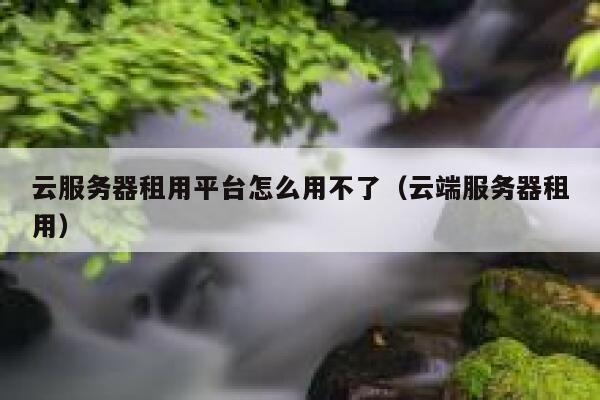 云服务器租用平台怎么用不了（云端服务器租用） 第1张