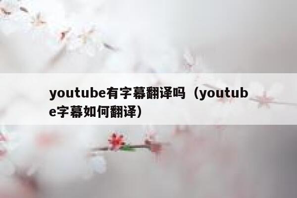 youtube有字幕翻译吗（youtube字幕如何翻译） 第1张