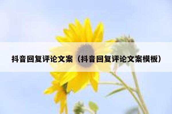 抖音回复评论文案（抖音回复评论文案模板） 第1张