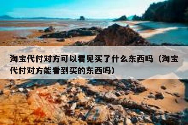 淘宝代付对方可以看见买了什么东西吗（淘宝代付对方能看到买的东西吗） 第1张