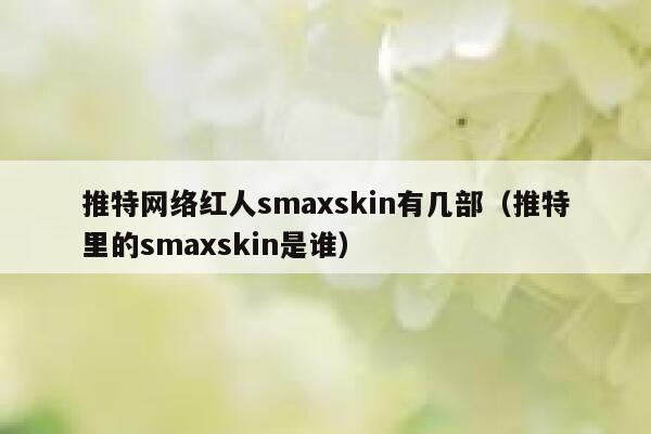 推特网络红人smaxskin有几部（推特里的smaxskin是谁） 第1张