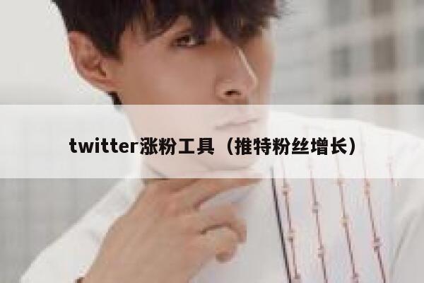 twitter涨粉工具（推特粉丝增长） 第1张