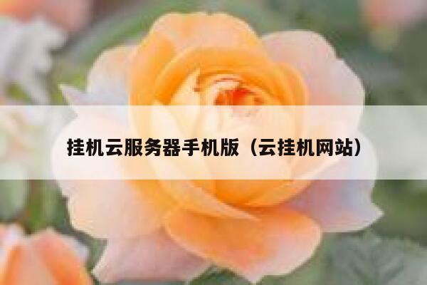 挂机云服务器手机版（云挂机网站） 第1张