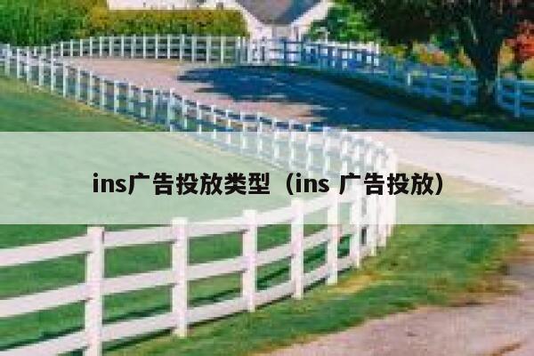 ins广告投放类型（ins 广告投放） 第1张