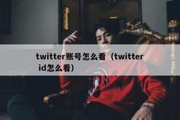 twitter账号怎么看（twitter id怎么看） 第1张