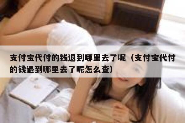 支付宝代付的钱退到哪里去了呢（支付宝代付的钱退到哪里去了呢怎么查） 第1张
